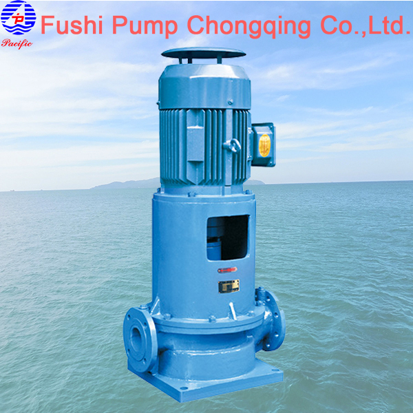 CLH Marine Vertical Ballast Water Pump 